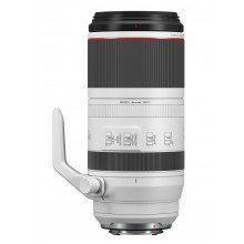 Canon RF 100-500 4.5 7.1 L IS USM