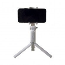 Celly bh propod wit