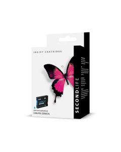 Second Life Replacement Canon PGI 2500 cyaan