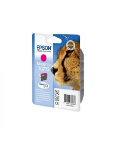 Epson T071340