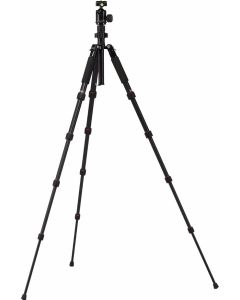 Rollei Traveler no 1