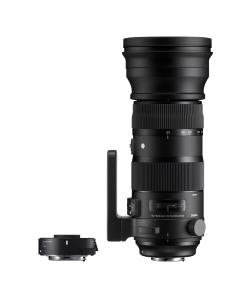 Sigma 150-600 DG OS HSM Sports+1.4 conv.Canon