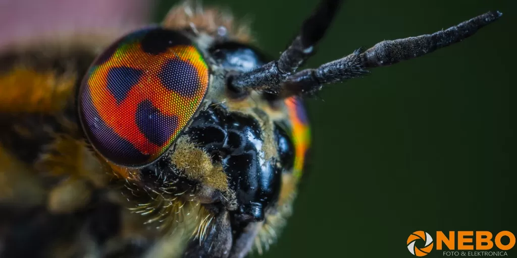 macro vlieg